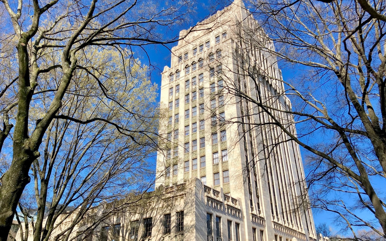 Atlanta City Hall rises behind leafless tree branches on a clear day.