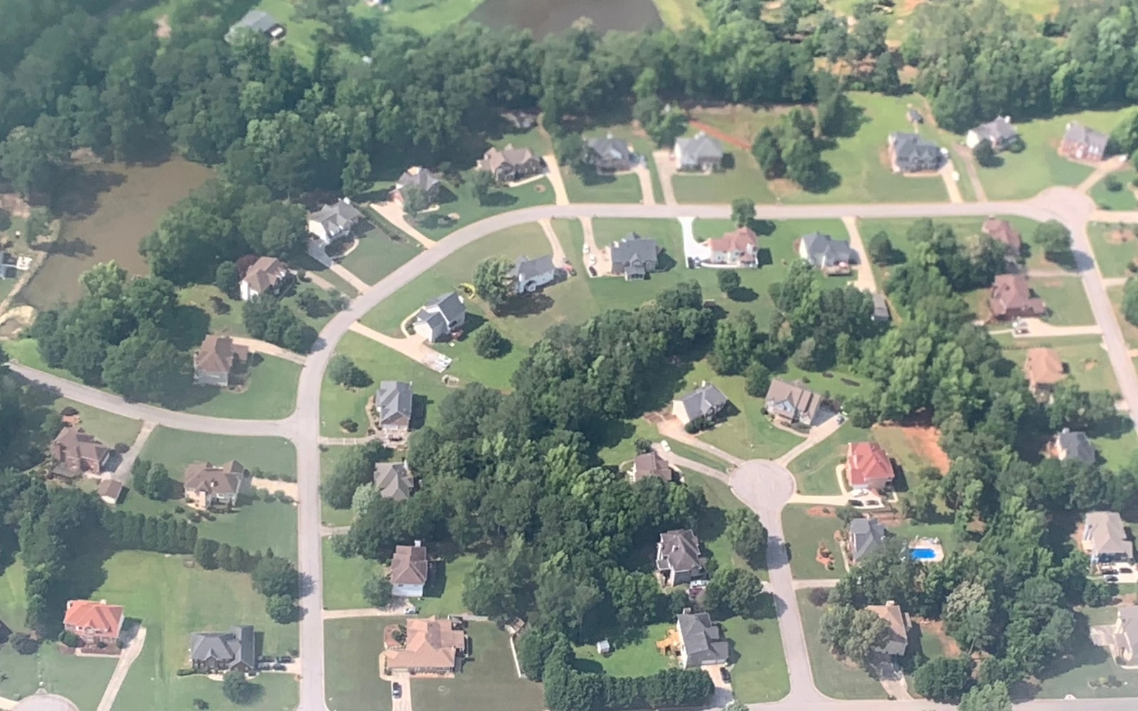 Aerial view of detached houses, lawns and curving residential streets surrounded by trees.